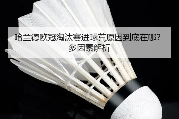 ha-lan-de-ou-guan-tao-tai-sai-jin-qiu-huang-yuan-yin-dao-di-zai-na-duo-yin-su-jie-xi-3-550.jpg